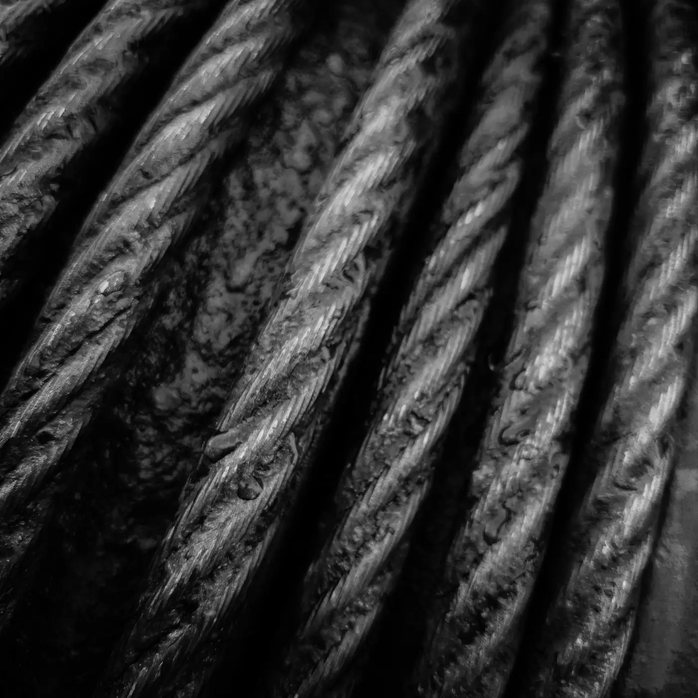 Close-up of bundled network cables